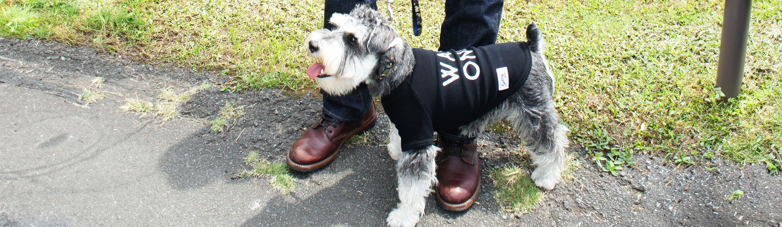 犬服サイズの参考 – Sunny Family