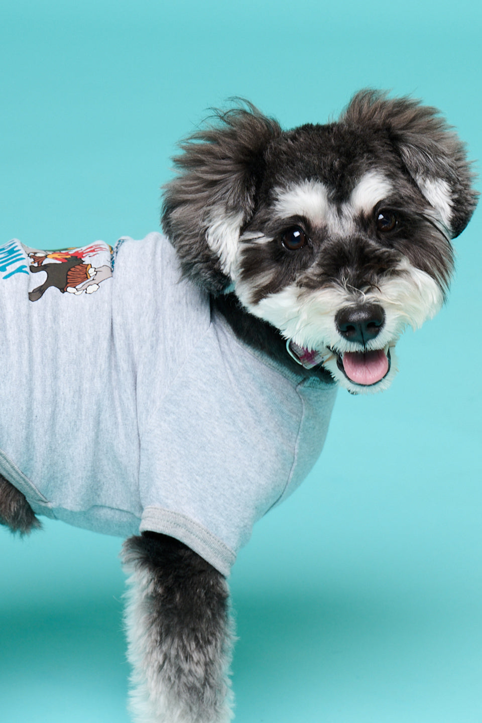 Love☆Island Tシャツ／ミニチュアシュナウザー／犬服 – Sunny Family