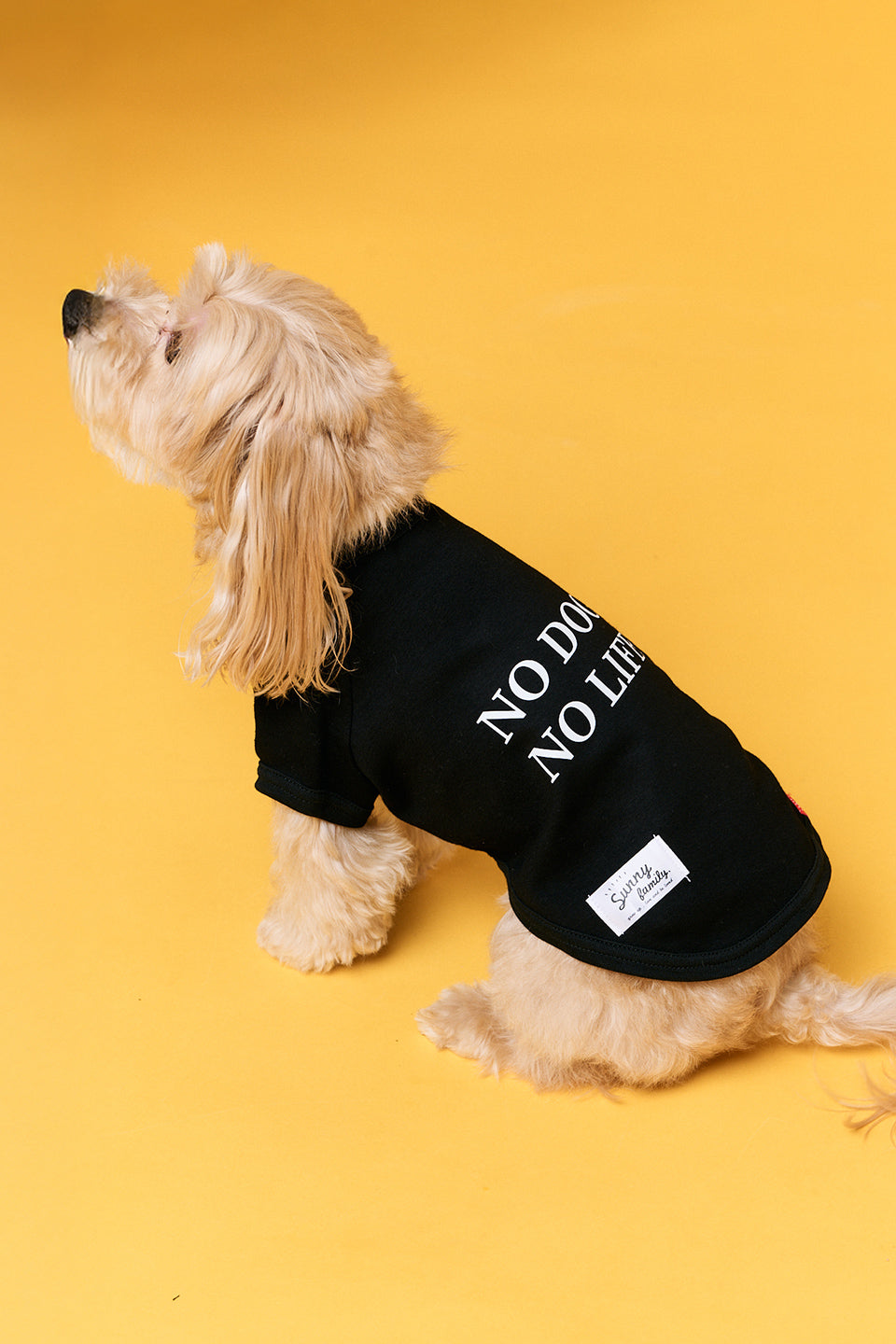 NO DOG,NO LIFE！Tシャツ／犬服 – Sunny Family