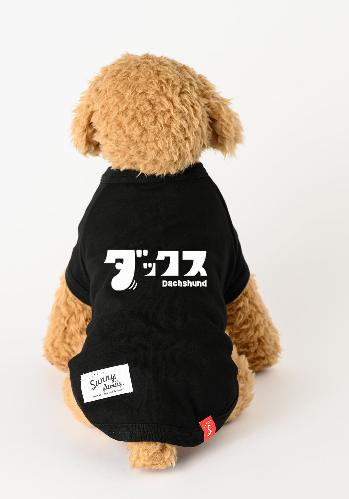 イヌフォント Tシャツ／ミニチュアダックス／犬服